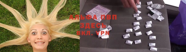 эйфоретик Ельня