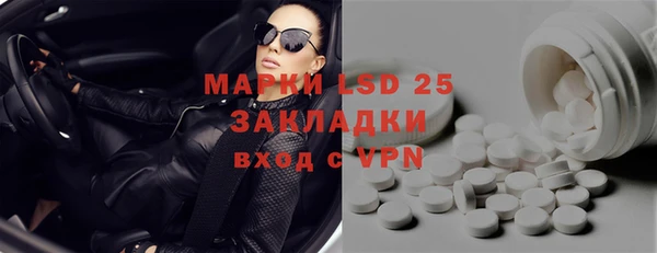 эйфоретик Ельня