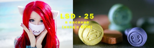 шишки Елабуга
