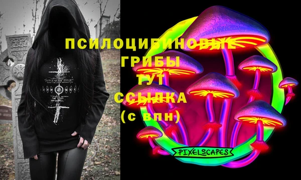 эйфоретик Ельня