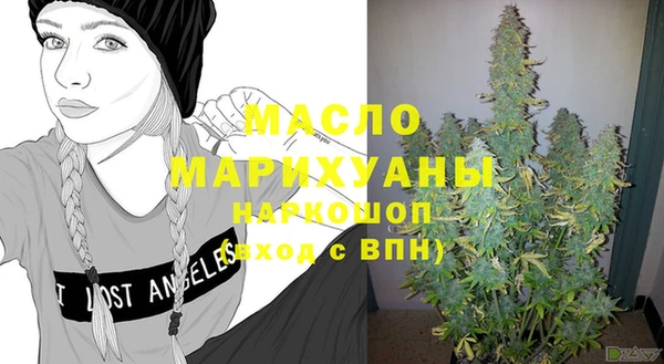 эйфоретик Ельня