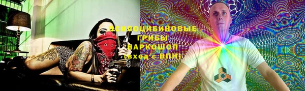шишки Елабуга
