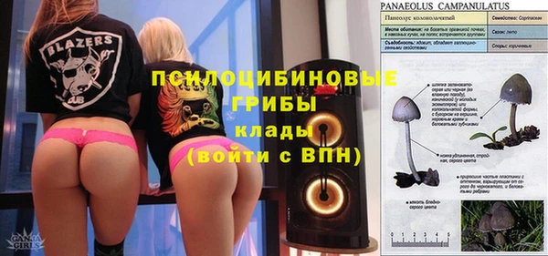 эйфоретик Ельня