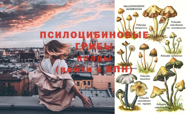 шишки Елабуга