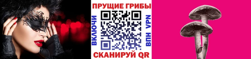 Купить  Калач  Псилоцибиновые грибы Psilocybine cubensis 